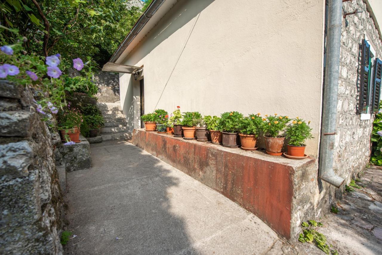 Apartamento Barbara101 Kotor Exterior foto